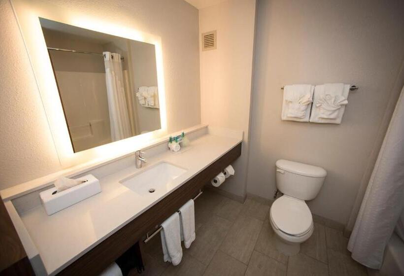 سوییت, Holiday Inn Express Hotel & Suites Lexington Downtown University, An Ihg