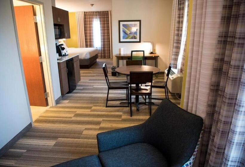 سوئیت اجرایی با تخت کینگ, Holiday Inn Express Hotel & Suites Lexington Downtown University, An Ihg