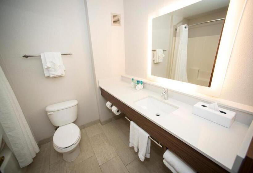 سوئیت اجرایی با تخت کینگ, Holiday Inn Express Hotel & Suites Lexington Downtown University, An Ihg