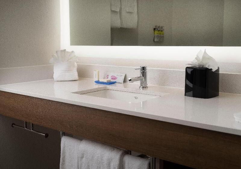 Номер Стандарт, Holiday Inn Express Hotel & Suites Olive Branch, An Ihg