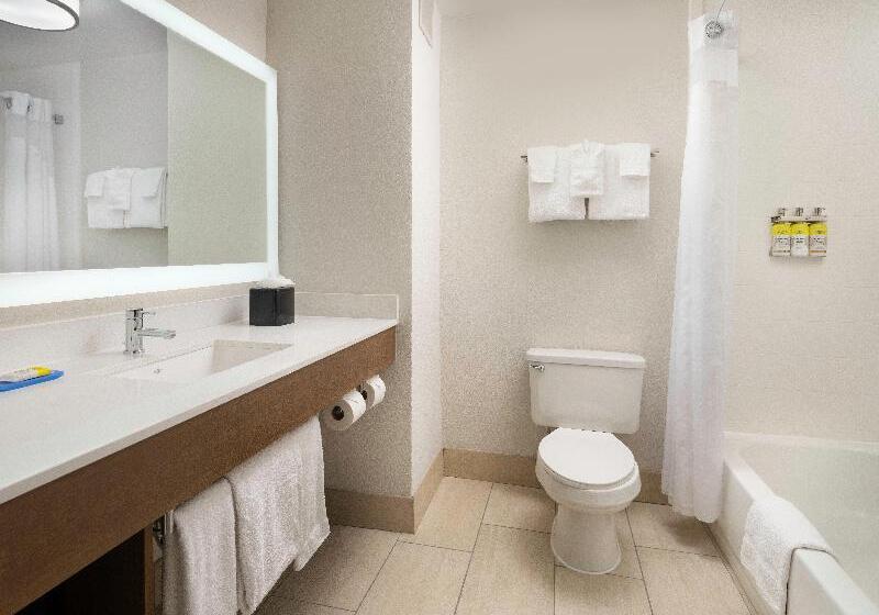 Стандартный Номер Кровать Кинг, Holiday Inn Express Hotel & Suites Olive Branch, An Ihg
