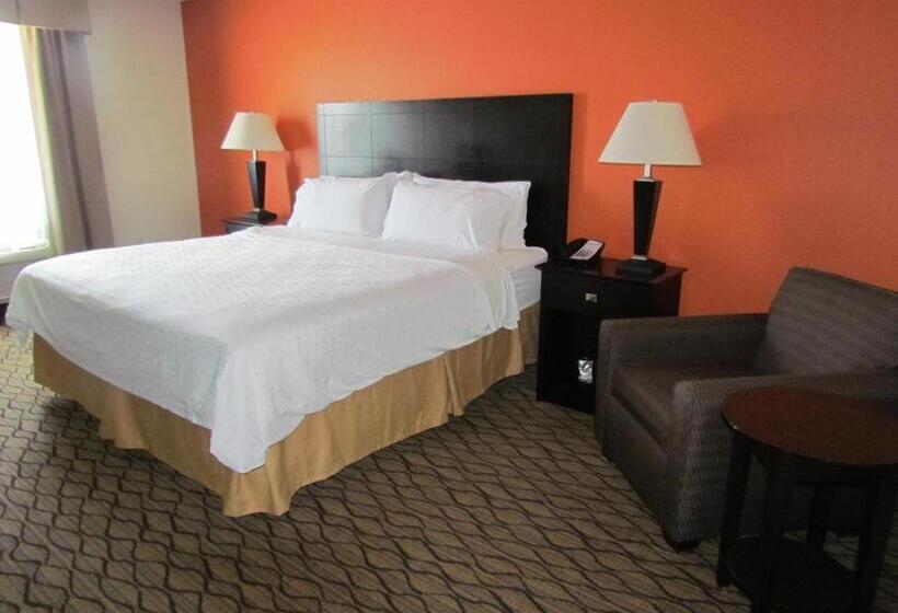 스위트 킹사이즈 침대, Holiday Inn Express Hotel & Suites Cadillac, An Ihg