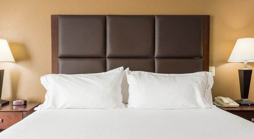 Номер Стандарт, Holiday Inn Express Hotel & Suites Hinesville, An Ihg