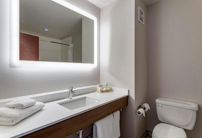 스탠다드 룸 킹사이즈 침대, Holiday Inn Express Hotel And Suites Natchitoches, An Ihg