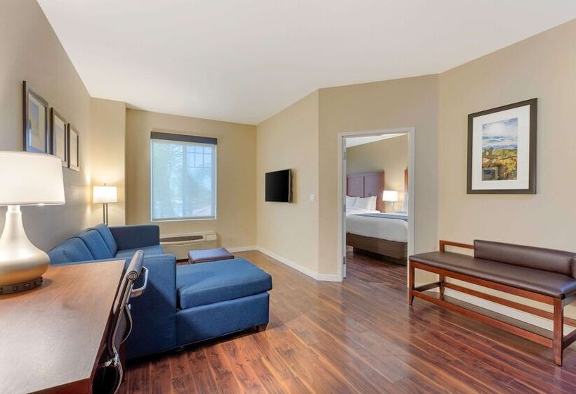 스위트, Comfort Inn & Suites Near Ontario Airport