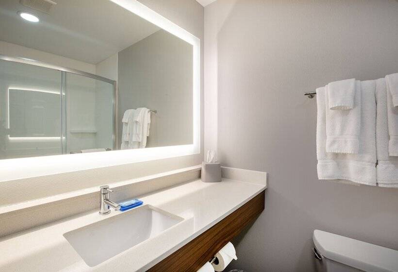 סוויטה, Holiday Inn Express Hotel & Suites Columbus, An Ihg