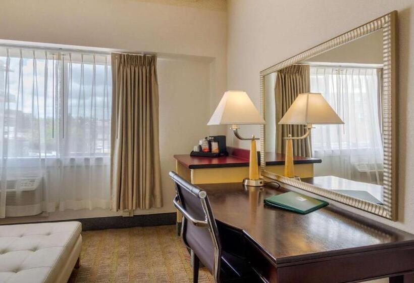 Люкс Кровать Кинг, Budget Inn Denver Downtown