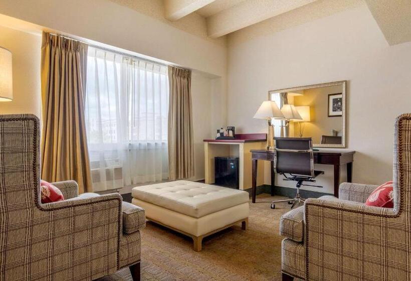 Люкс Кровать Кинг, Budget Inn Denver Downtown