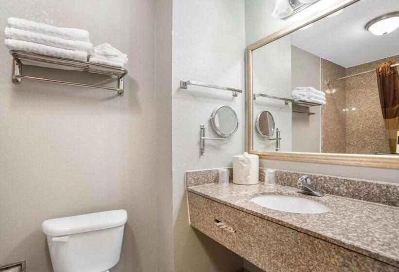 스탠다드 룸 킹사이즈 침대, Best Western Wakulla Inn & Suites