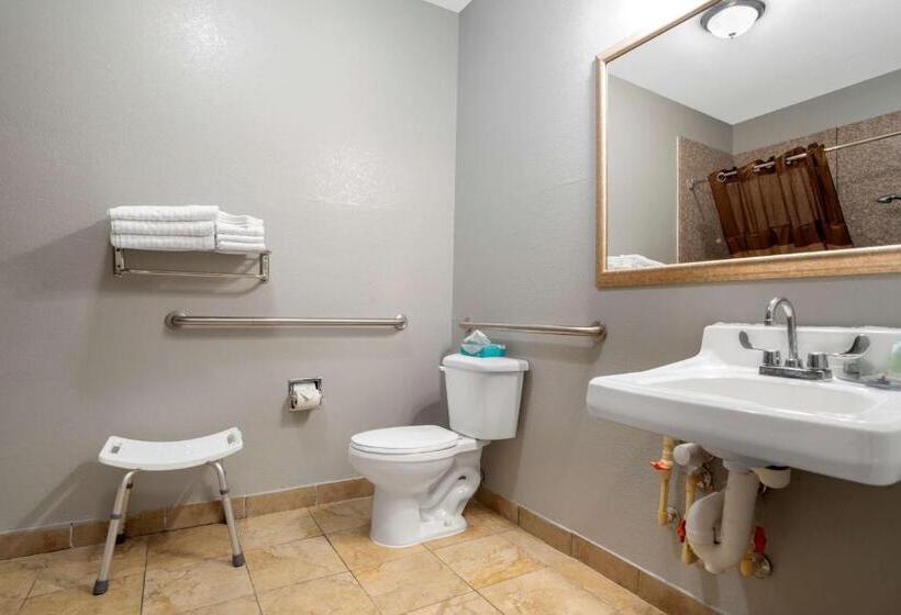 장애인을 위한 킹사이즈 침대 스탠다드 룸, Best Western Wakulla Inn & Suites