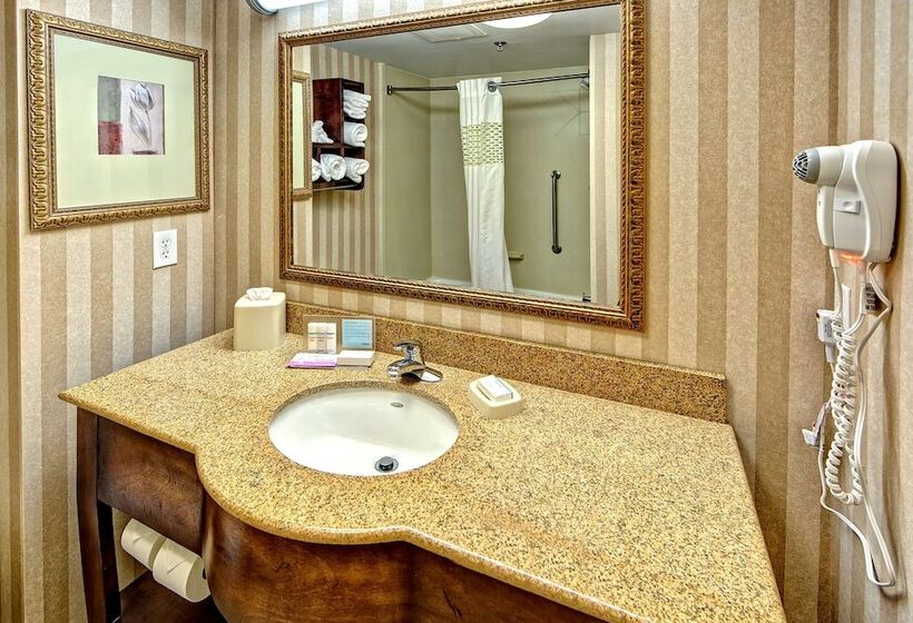 Номер Стандарт Вид на Горы, Hampton Inn & Suites Cashierssapphire Valley