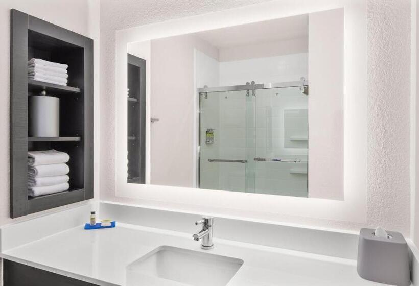 스탠다드 룸, Holiday Inn Express Hotel & Suites Greenville I 85 & Woodruff Road, An Ihg