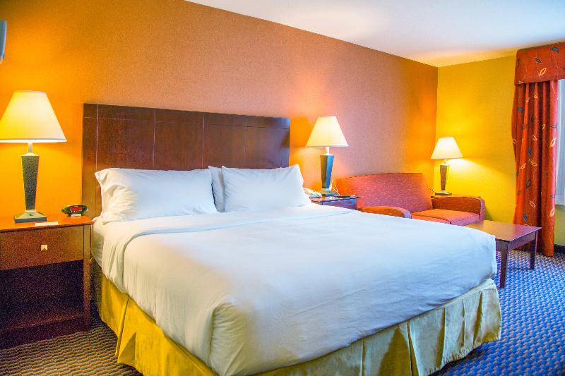 اتاق استاندارد با تخت بزرگ, Holiday Inn Express Hotel & Suites Richland