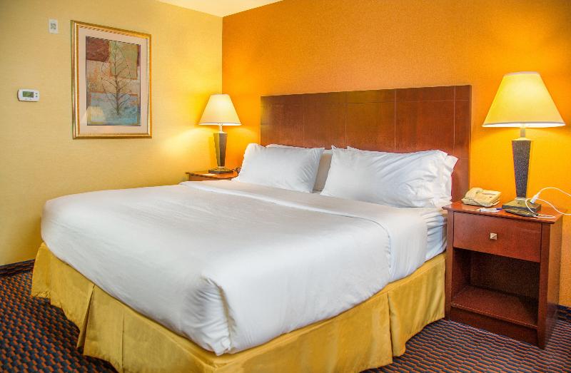 سوئیت اجرایی با تخت کینگ, Holiday Inn Express Hotel & Suites Richland
