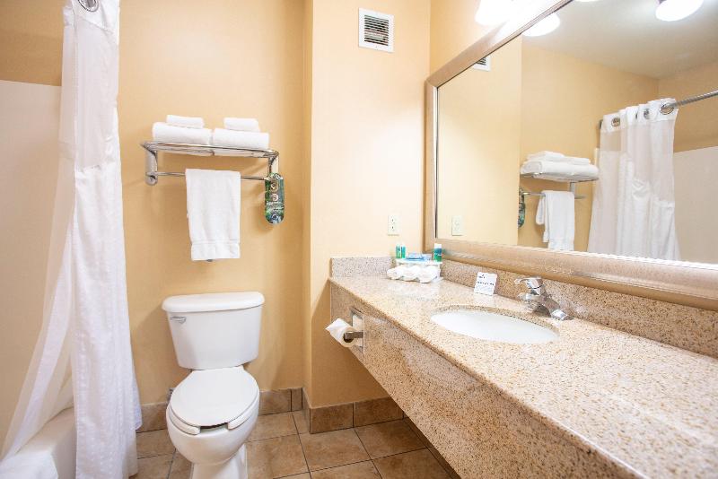 اتاق استاندارد با تخت بزرگ, Holiday Inn Express Hotel & Suites Richland
