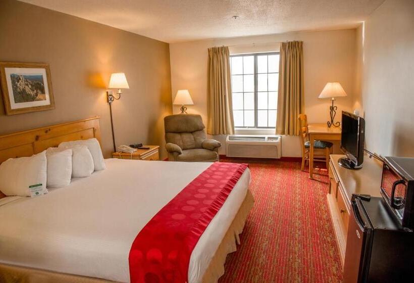 Стандартный Номер Кровать Кинг, Summerset Hotel And Suites Rapid City West