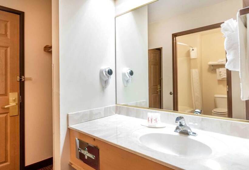 Номер Стандарт, Summerset Hotel And Suites Rapid City West