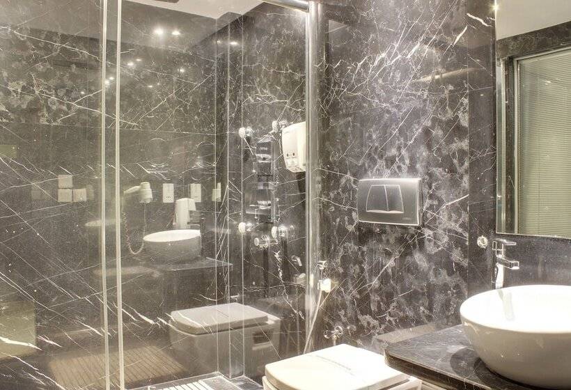 标准工作室, Godwin Deluxe  Near New Delhi Railway Station   Paharganj