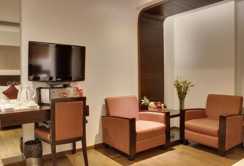 标准工作室, Godwin Deluxe  Near New Delhi Railway Station   Paharganj