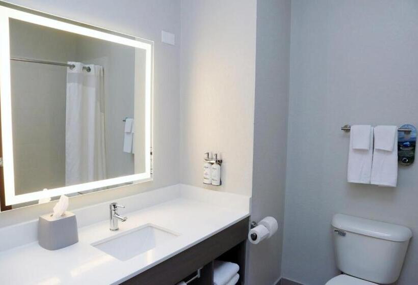 Люкс Кровать Кинг, Holiday Inn Express Baton Rouge North, An Ihg