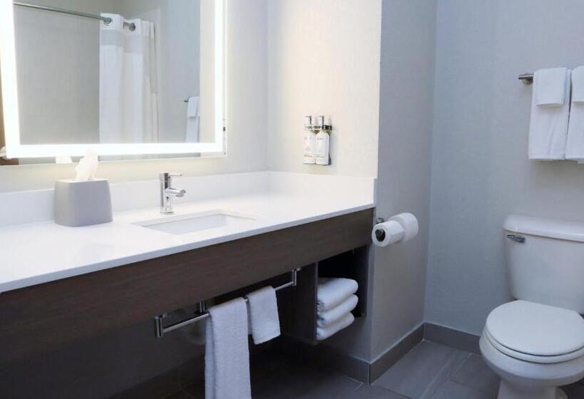Стандартный Номер Кровать Кинг, Holiday Inn Express Baton Rouge North, An Ihg