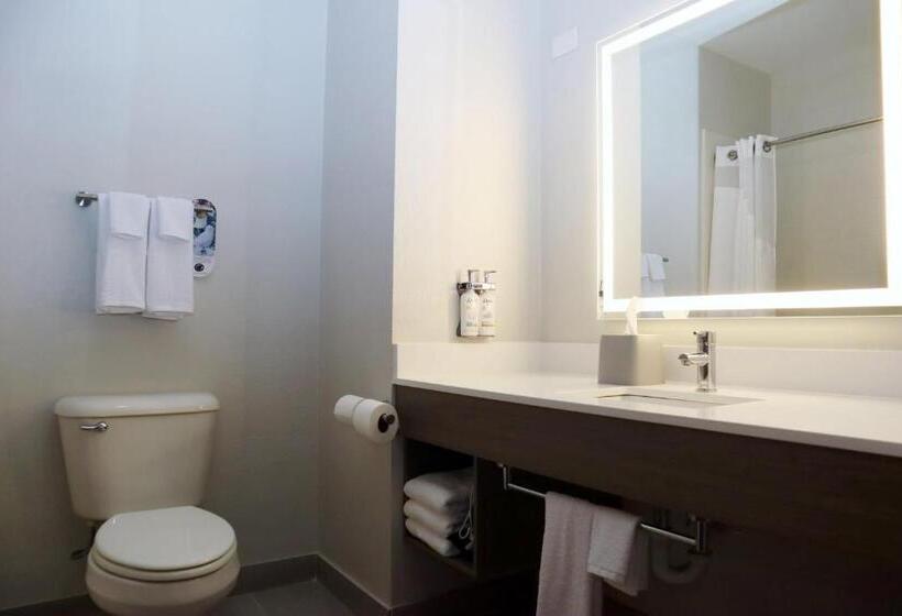 Студия Стандарт, Holiday Inn Express Baton Rouge North, An Ihg