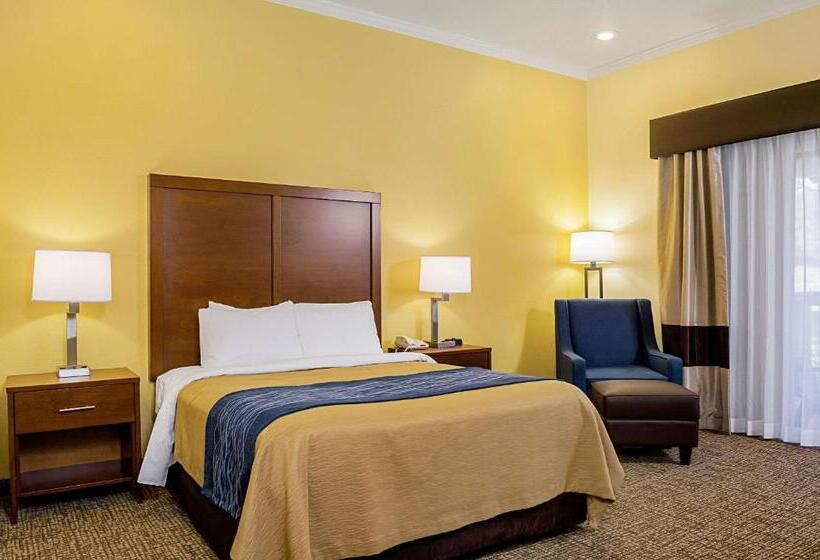 Номер Стандарт Адаптированный для Инвалидов, Comfort Inn Monterey Peninsula Airport
