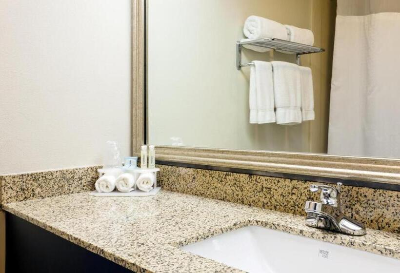 Номер Стандарт Адаптированный для Инвалидов, Holiday Inn Express Hotel & Suites Port Clinton Catawba Island, An Ihg
