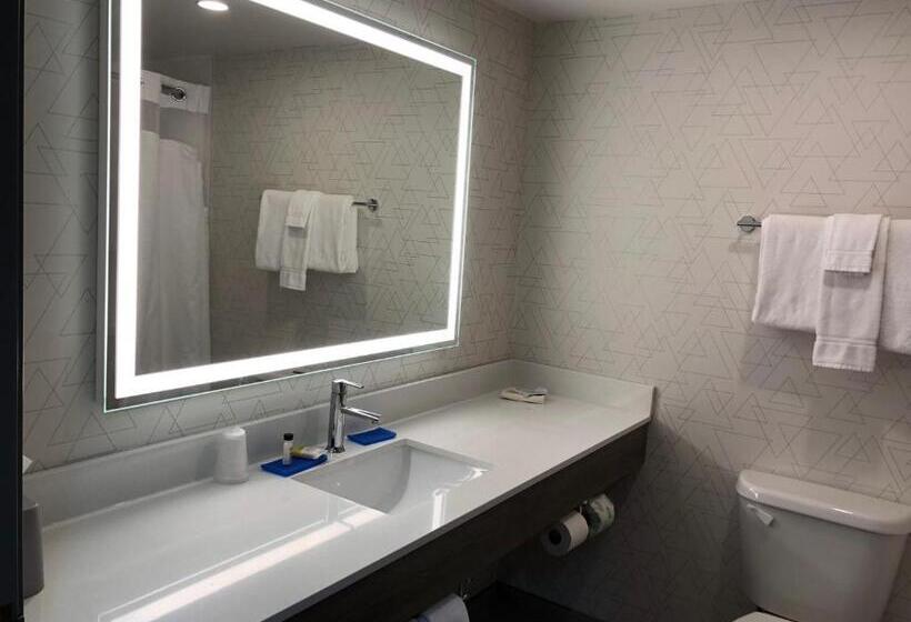 带大床的标准间, Holiday Inn Express & Suites Donegal, An Ihg
