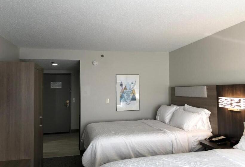 标准间, Holiday Inn Express & Suites Donegal, An Ihg