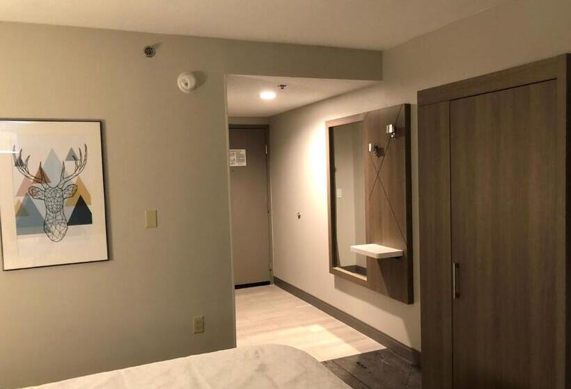 标准间, Holiday Inn Express & Suites Donegal, An Ihg