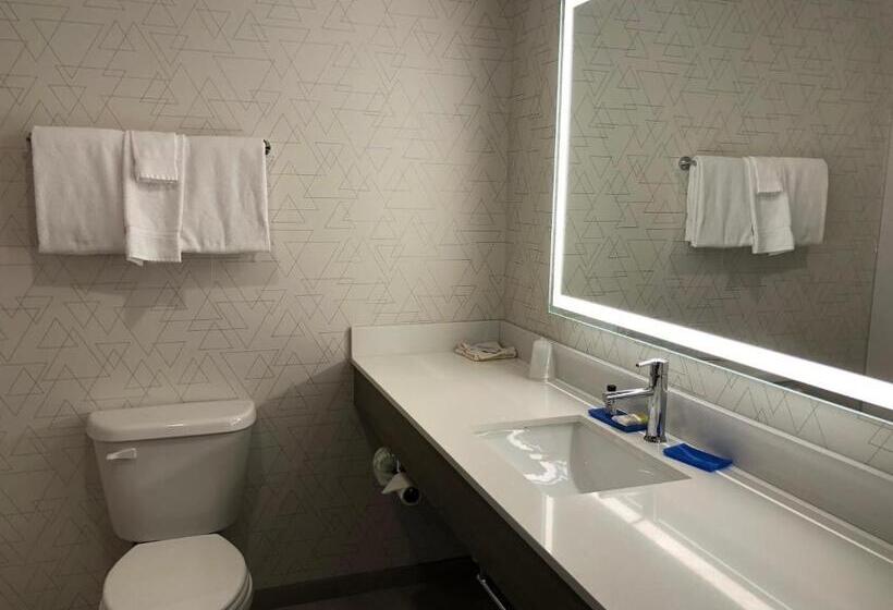 套房, Holiday Inn Express & Suites Donegal, An Ihg
