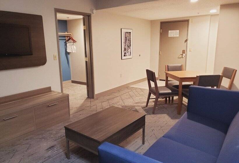 套房, Holiday Inn Express & Suites Donegal, An Ihg