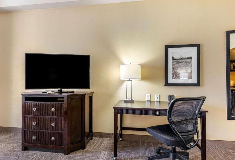 سوئیت با تخت بزرگ, Comfort Suites Frisco