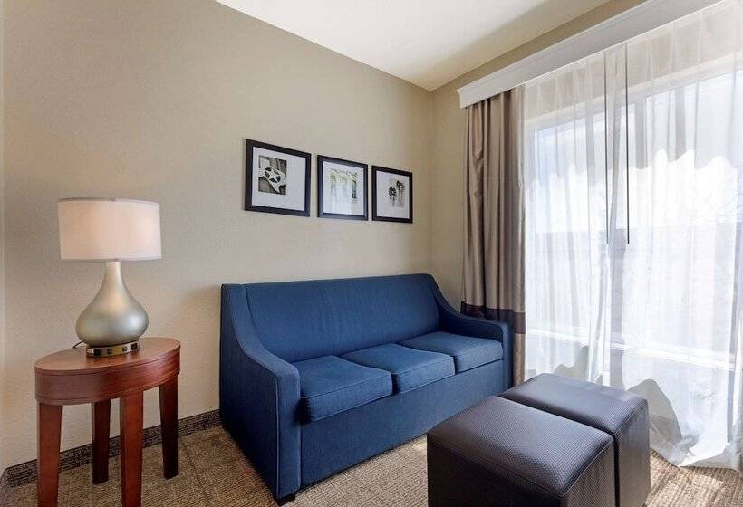 Люкс, Comfort Suites Gainesville