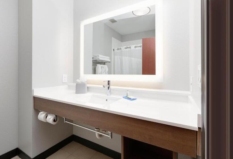 Люкс, Holiday Inn Express & Suites   Denton North, An Ihg