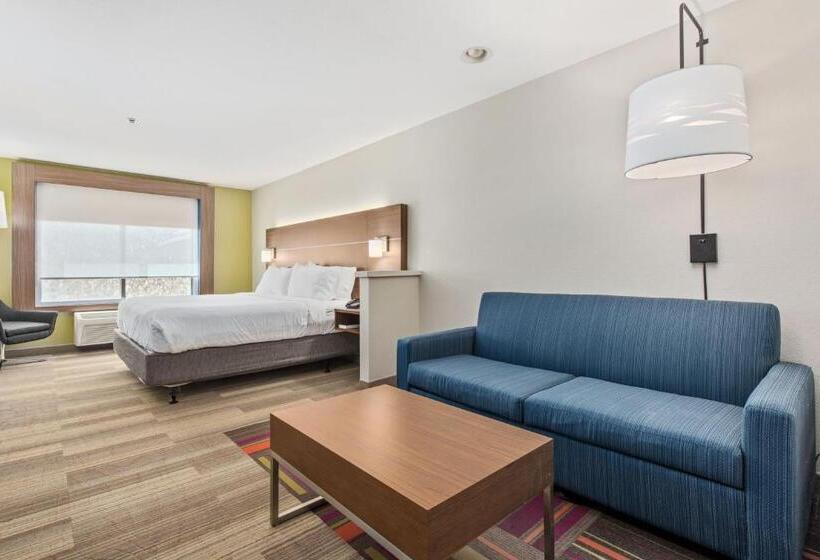스위트 킹사이즈 침대, Holiday Inn Express West Valley City, An Ihg