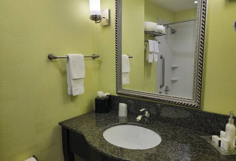 标准间, Holiday Inn Garland, An Ihg