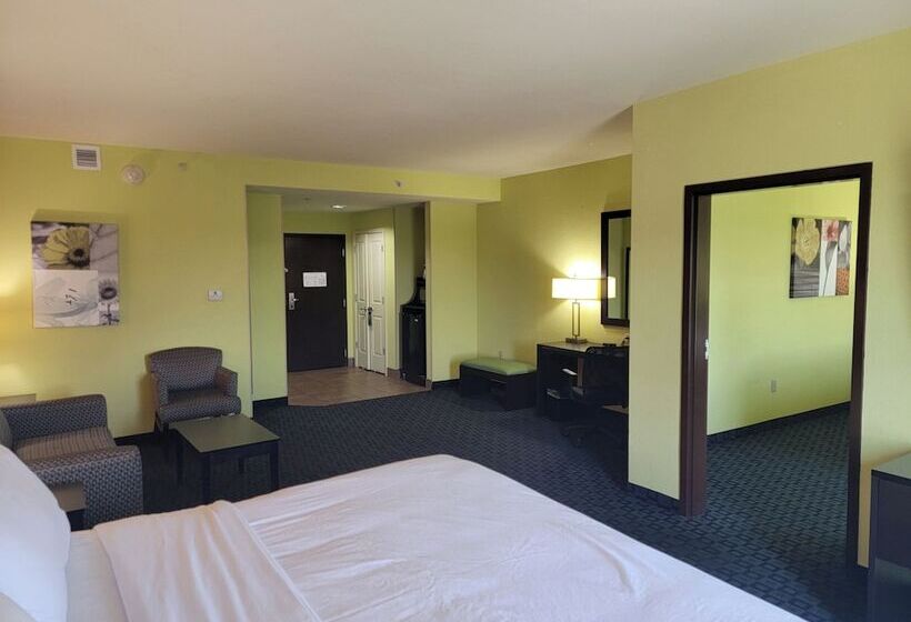适合残疾人使用的标准间, Holiday Inn Garland, An Ihg