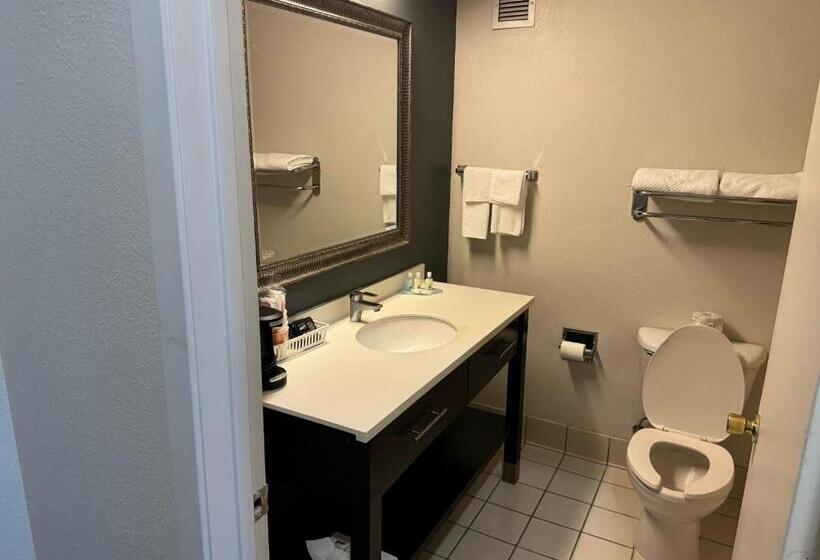 Стандартный Номер Кровать Кинг, Quality Inn &  Suites
