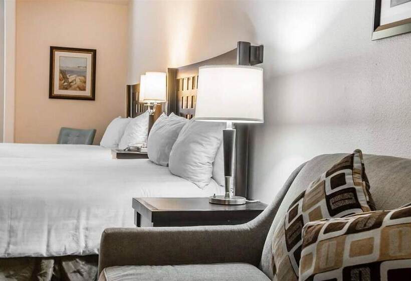 Suite Llit King, Sunchase Inn & Suites