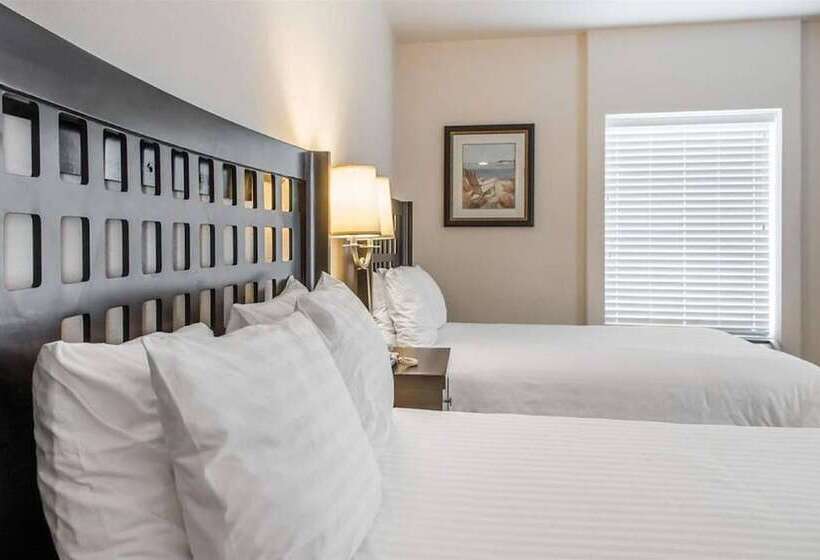 Suíte Cama King, Sunchase Inn & Suites
