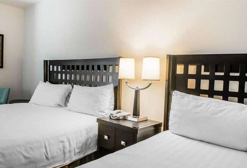 Suite, Sunchase Inn & Suites