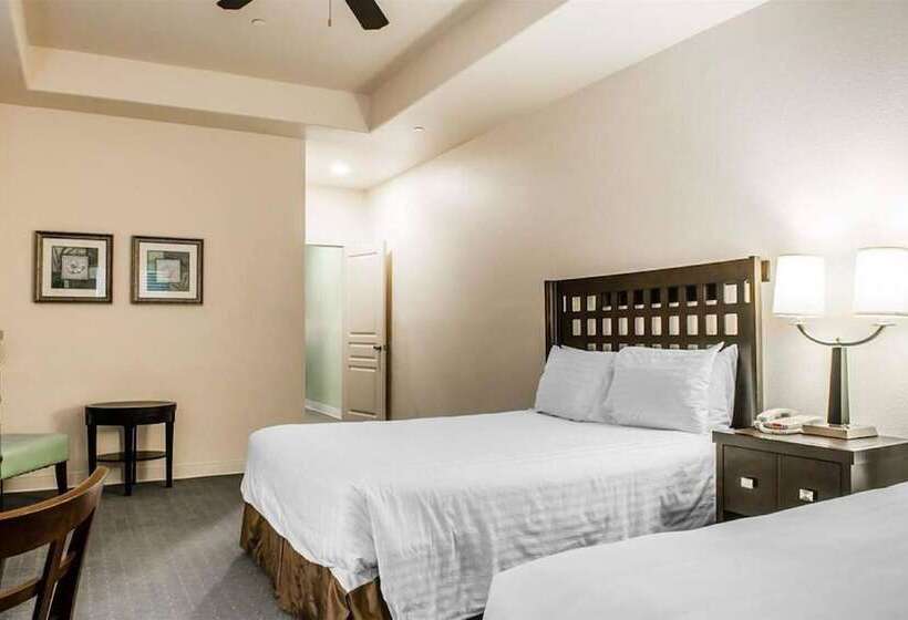 Suite, Sunchase Inn & Suites
