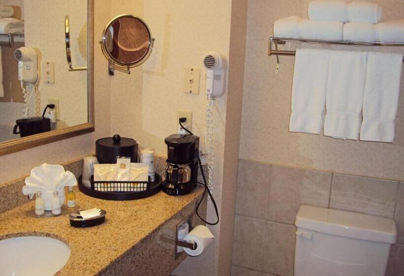 Номер Стандарт Кровать Кинг Адаптированный для Инвалидов, Best Western Executive Inn Corsicana