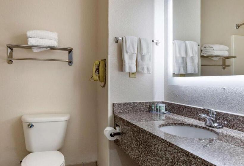 带大床的套房, Best Western Palo Duro Canyon Inn & Suites