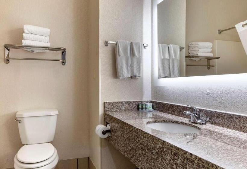 标准间, Best Western Palo Duro Canyon Inn & Suites