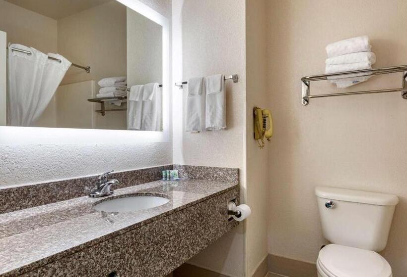 套房, Best Western Palo Duro Canyon Inn & Suites