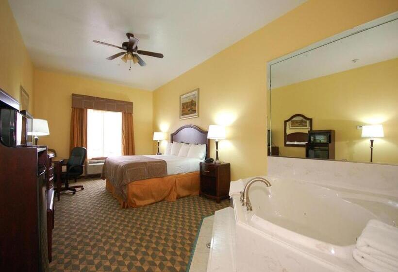 스탠다드 룸 킹사이즈 침대, Best Western Plus Manvel Inn & Suites