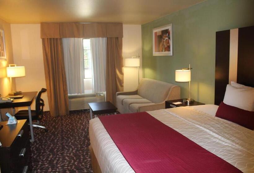 Стандартный Номер Кровать Кинг, Best Western Plus The Woodlands